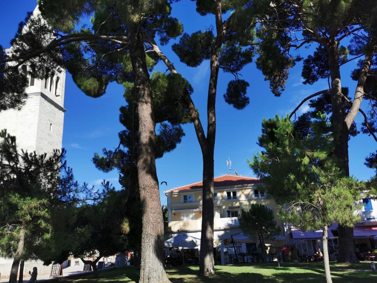 Emily Deluxe Superior 5 Star Studio Apartment, Your Piece Of Heaven With Sea & Park View Novigrad Istria المظهر الخارجي الصورة