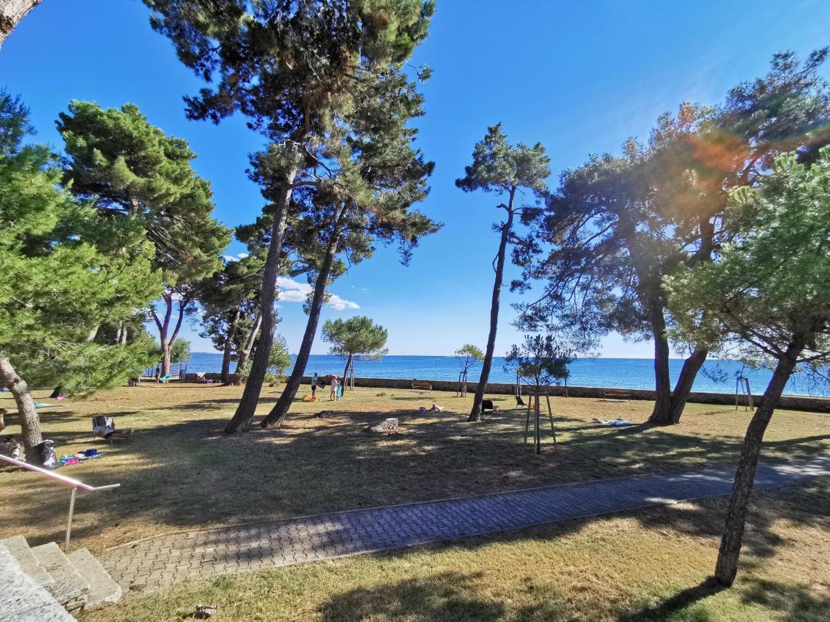 Emily Deluxe Superior 5 Star Studio Apartment, Your Piece Of Heaven With Sea & Park View Novigrad Istria المظهر الخارجي الصورة